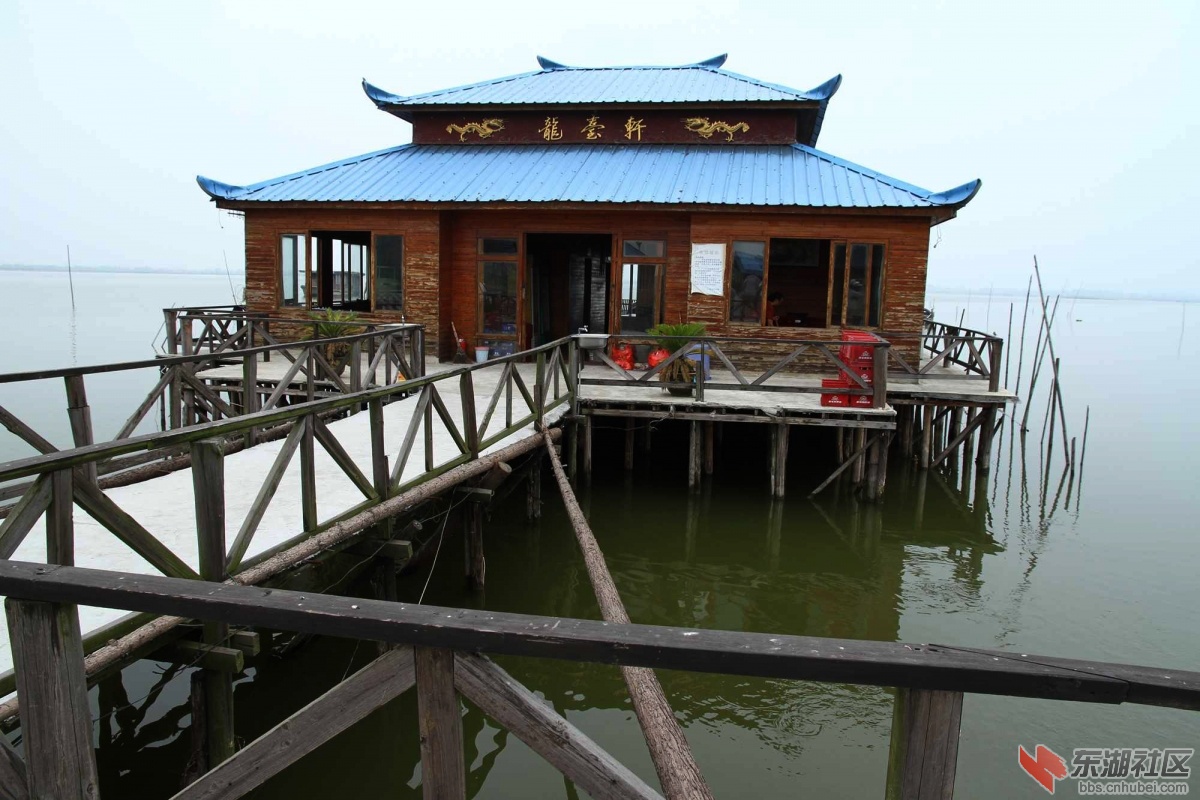 06.JPG