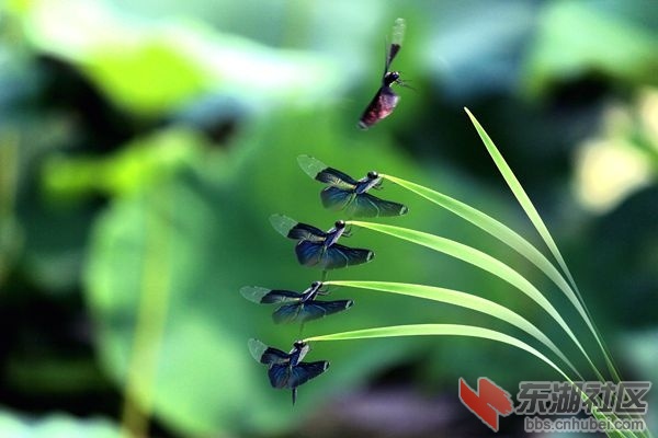 IMG_9365_副本_副本.jpg