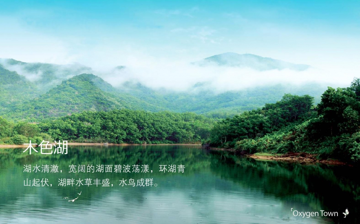 图片4.jpg