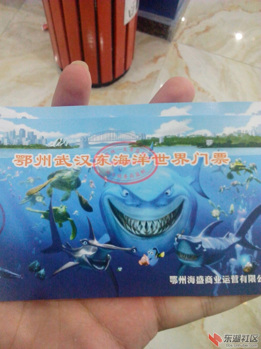 IMG_20140818_133702.jpg