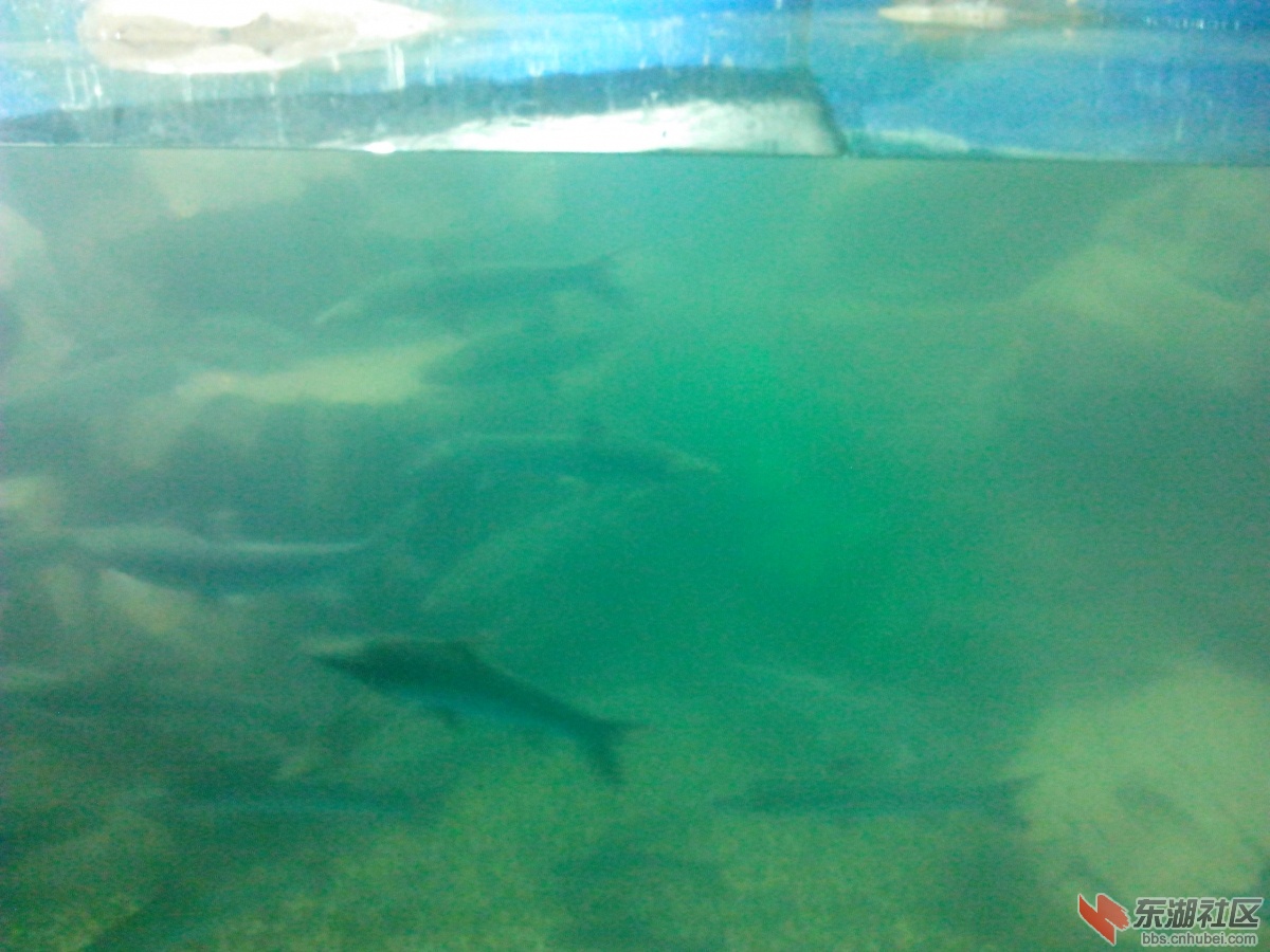 IMG_20140818_133809.jpg