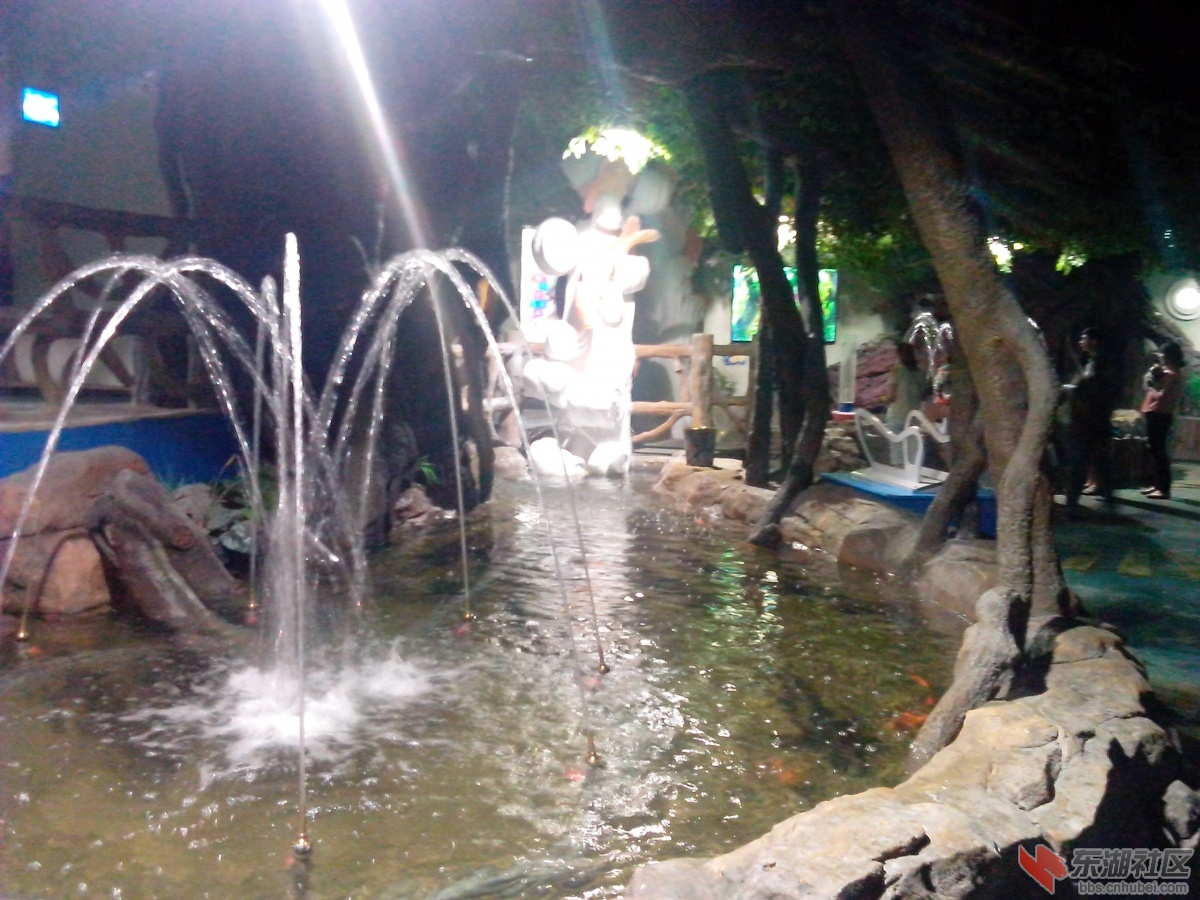 IMG_20140818_133945.jpg