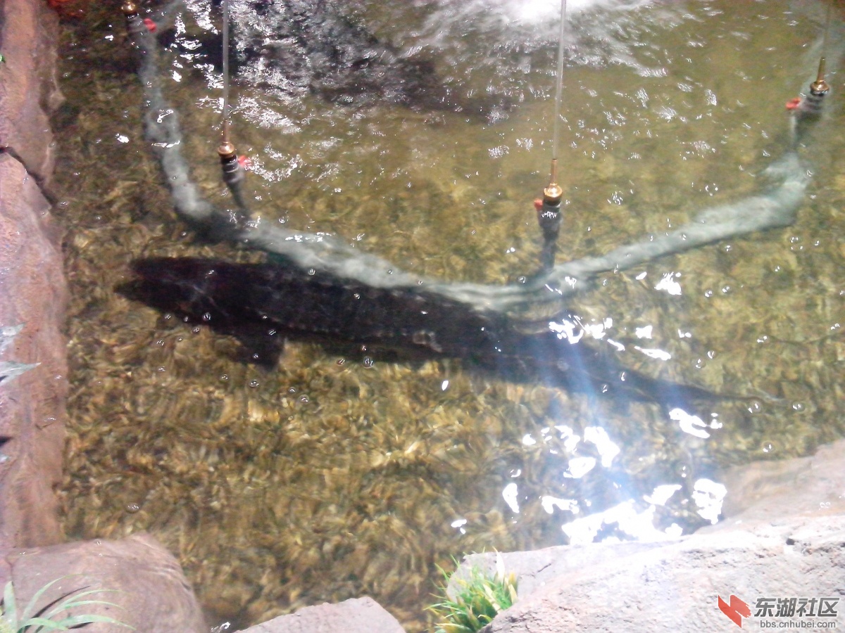 IMG_20140818_133958.jpg