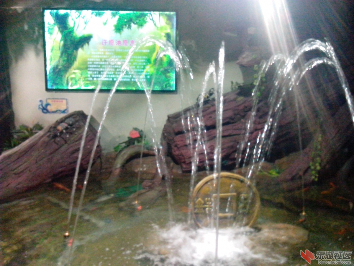 IMG_20140818_134120.jpg