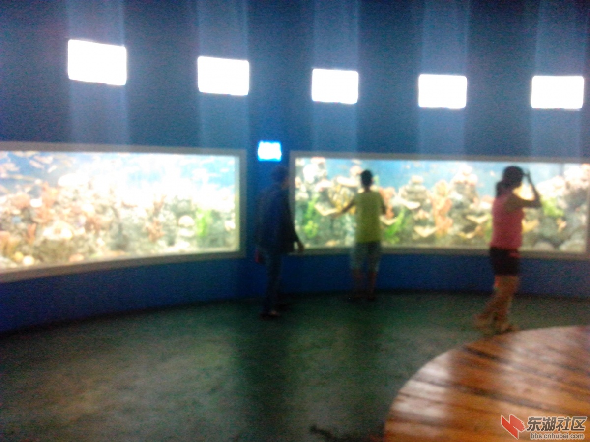 IMG_20140818_134832.jpg