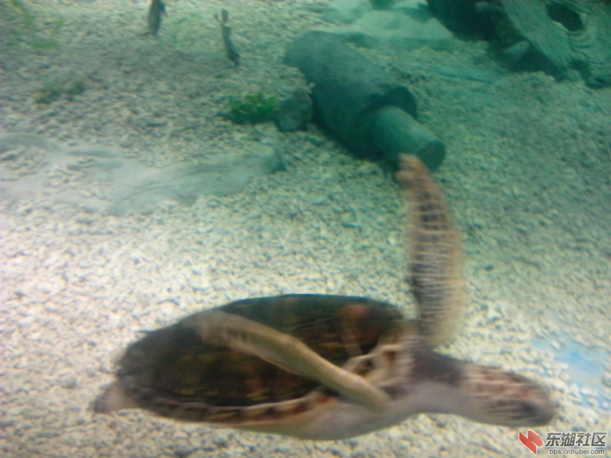 IMG_20140818_135340.jpg