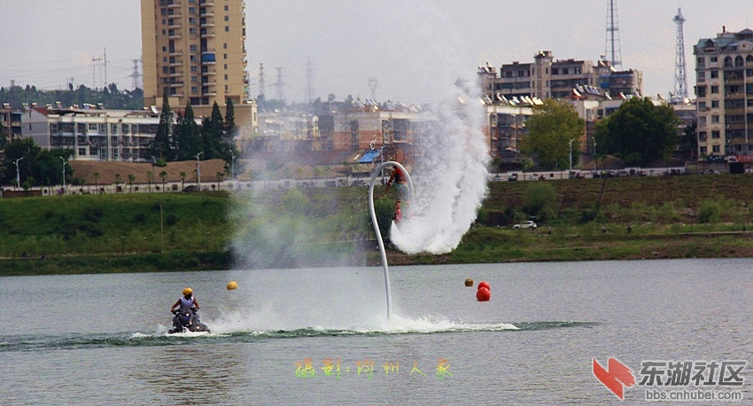 5199.jpg