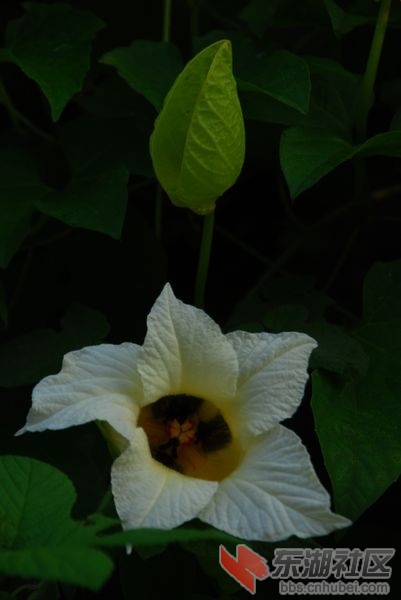 nEO_IMG_DSC_7339.jpg