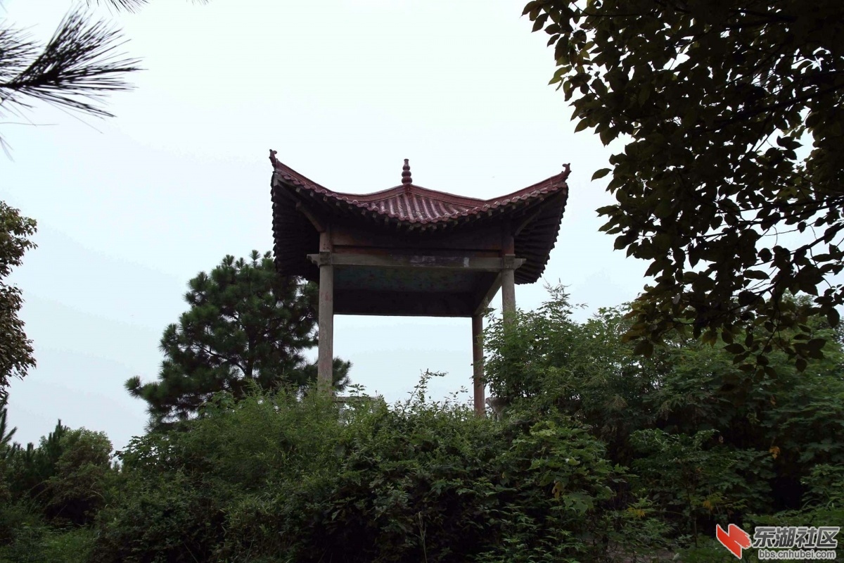 144145jvbykikvvnrivhrc.jpg