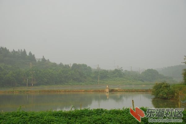 nEO_IMG_DSC_7302.jpg