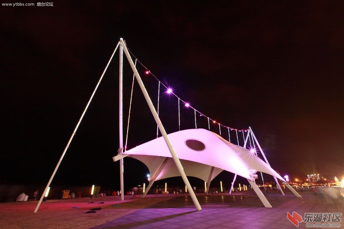 夜景帆布鱼.jpg