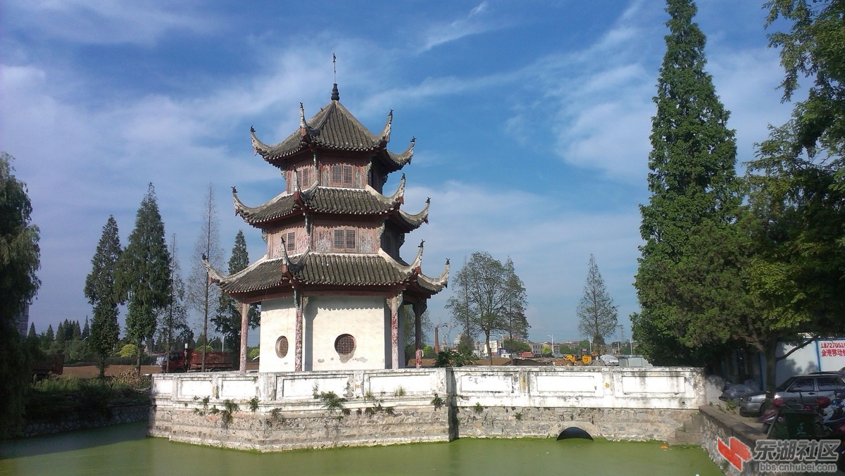 IMAG4831副本.jpg