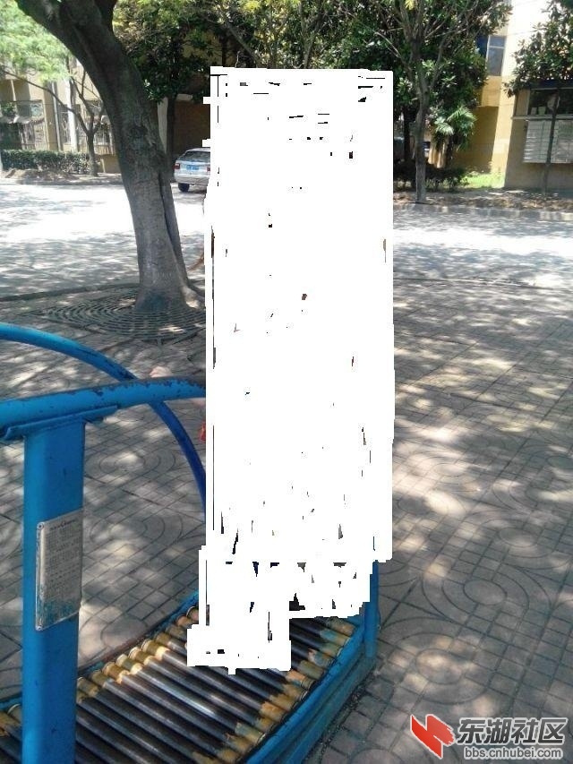 191326bzchmjzkkm8zq0s2.jpg