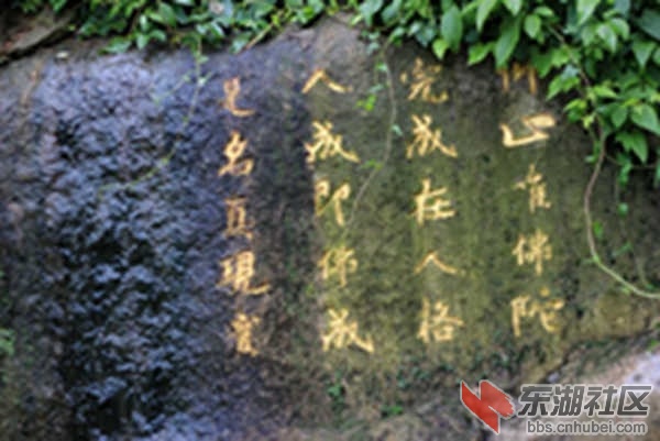 633d660245572637.jpg