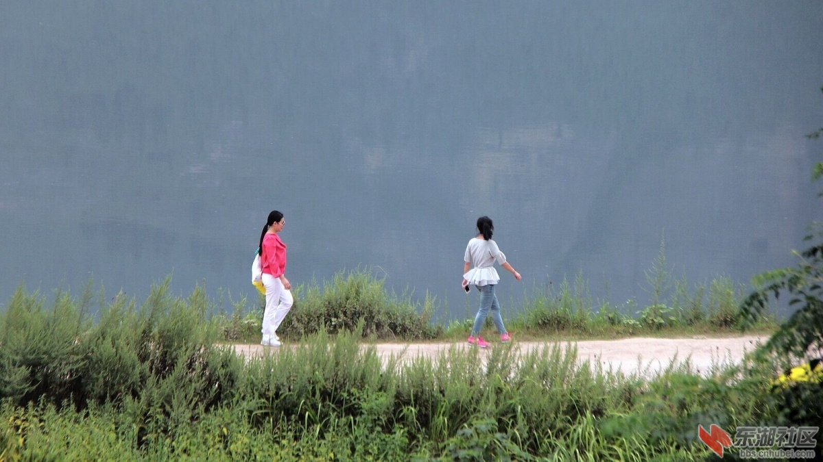 信步郧阳岛.jpg