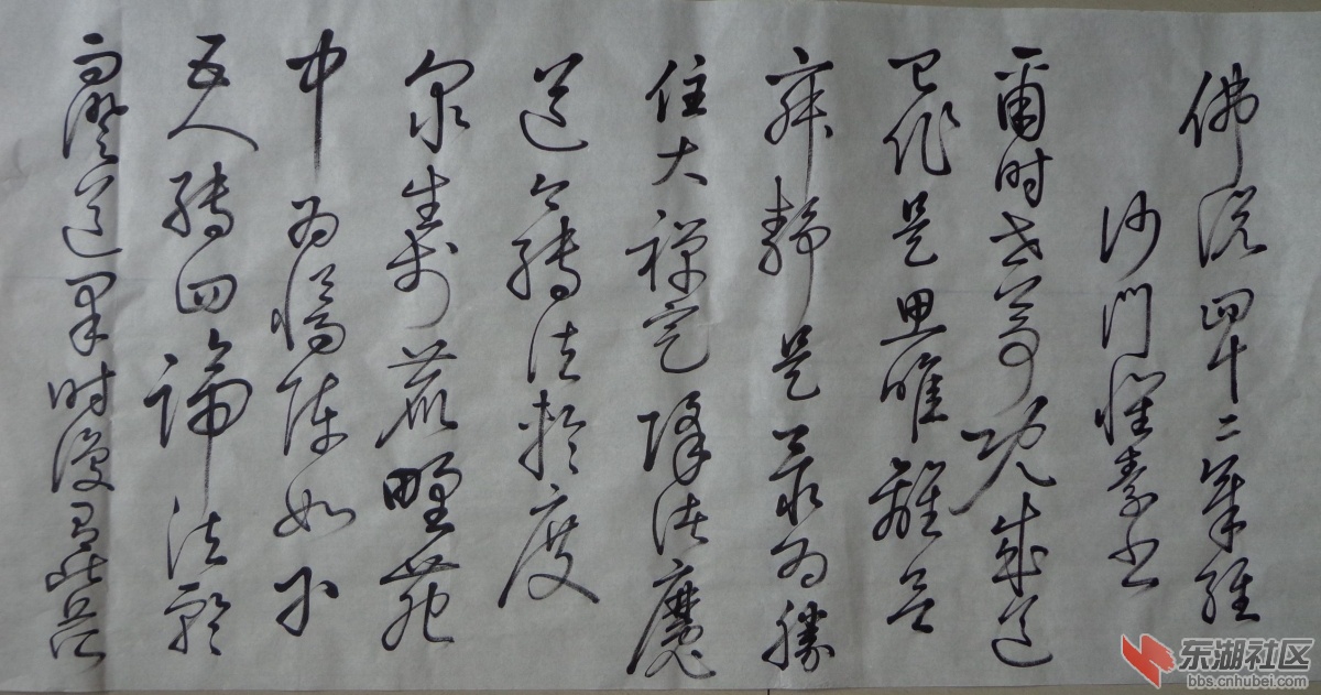 DSC02418_副本.jpg