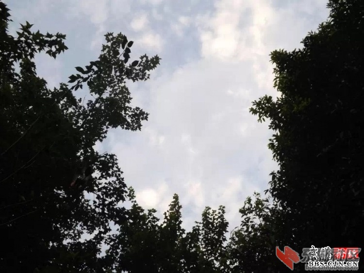 244_2145278205_68dfe78dbcce7b1.jpg