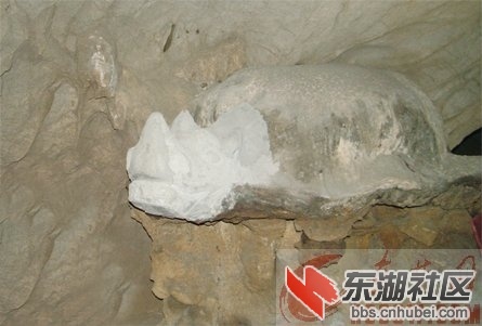 2011112160281238.jpg