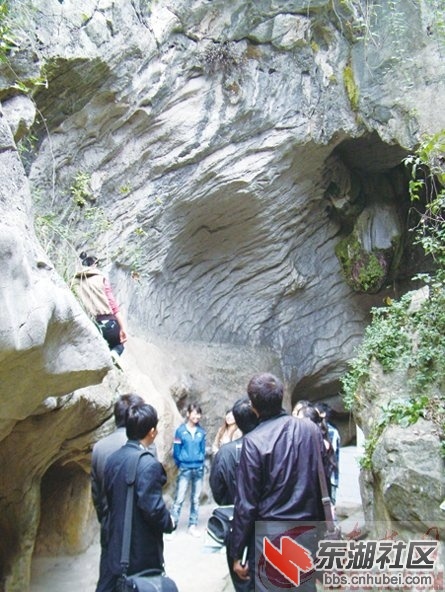 2011112160281232.jpg