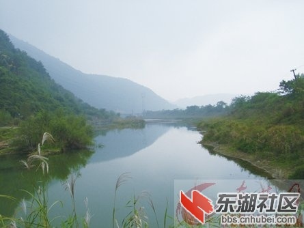 2011112160281231.jpg