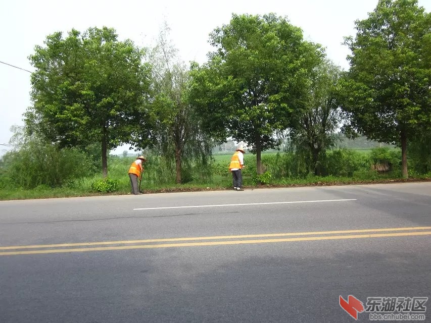 蕲阳路4.jpg