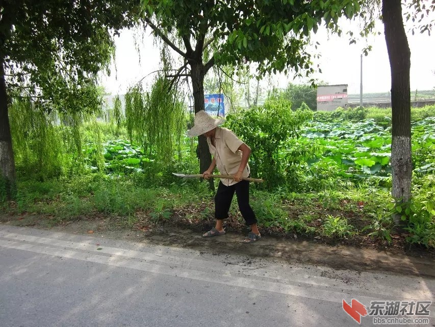 蕲阳路1.jpg