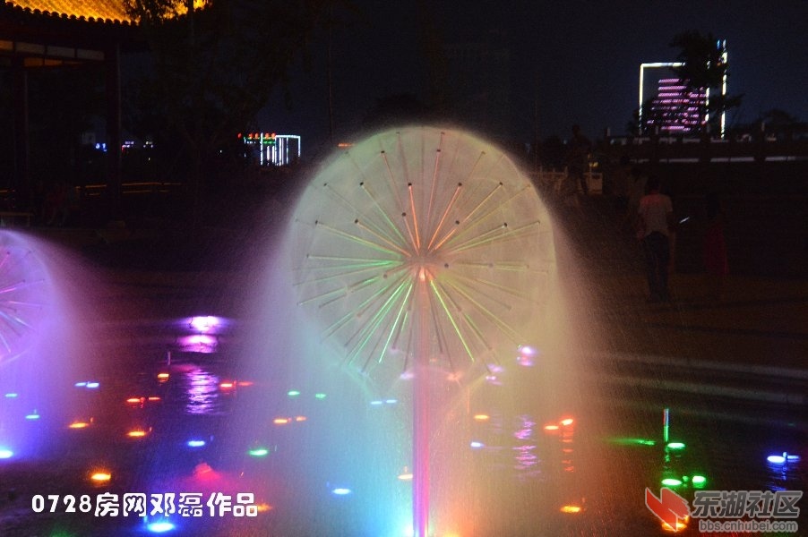 DSC_3203.JPG