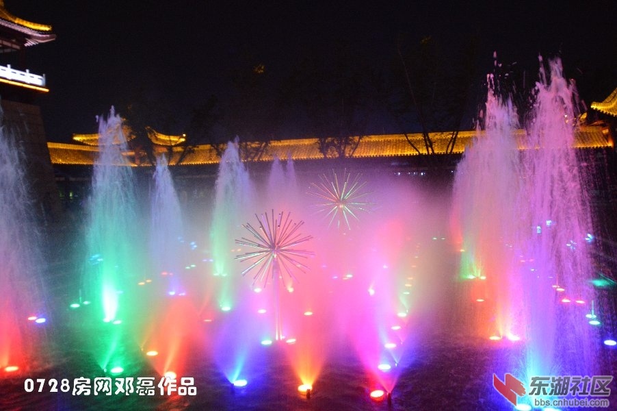 DSC_3220.JPG