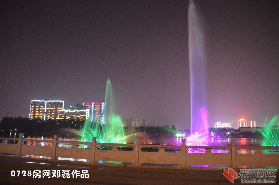 DSC_3232.JPG