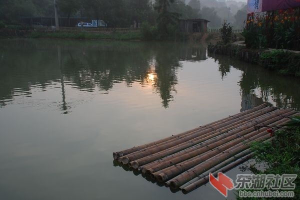 nEO_IMG_DSC_6960.jpg