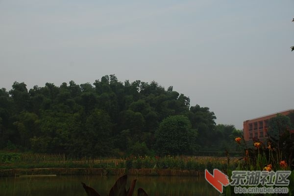 nEO_IMG_DSC_6985.jpg