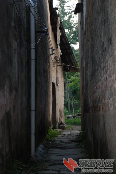 nEO_IMG_DSC_7247.jpg