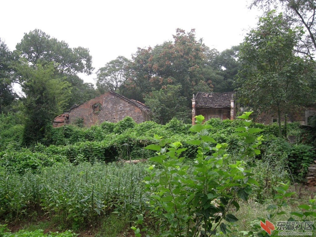 07.jpg