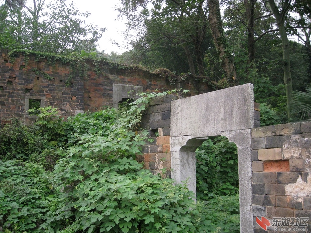04.jpg