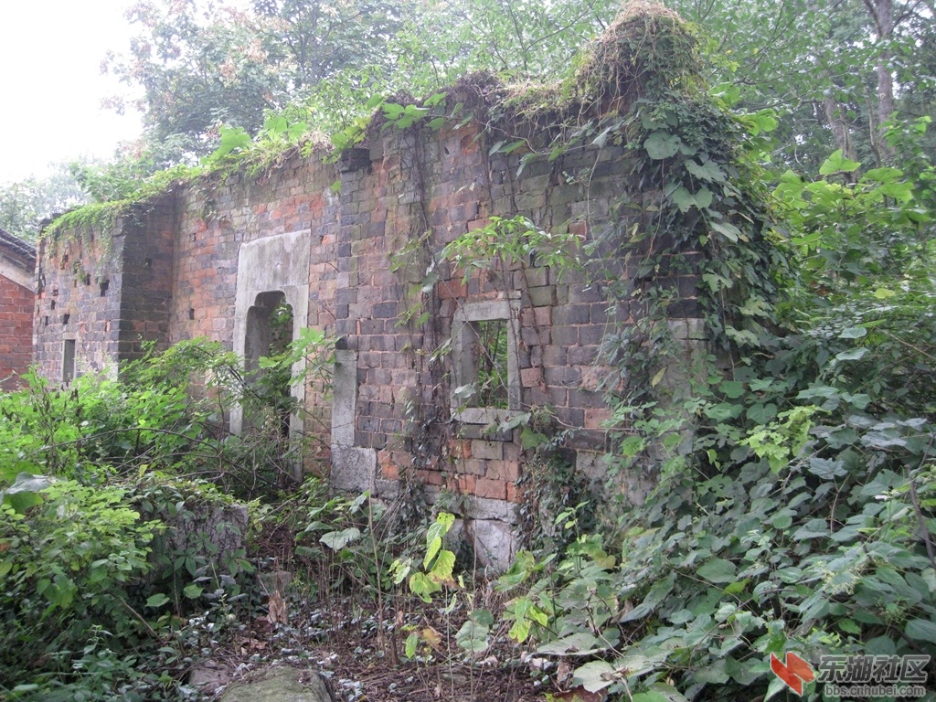 09.jpg