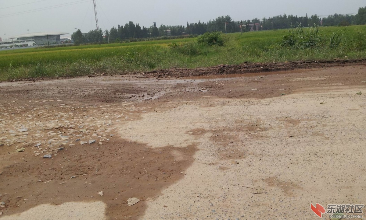 20140828_103805.jpg