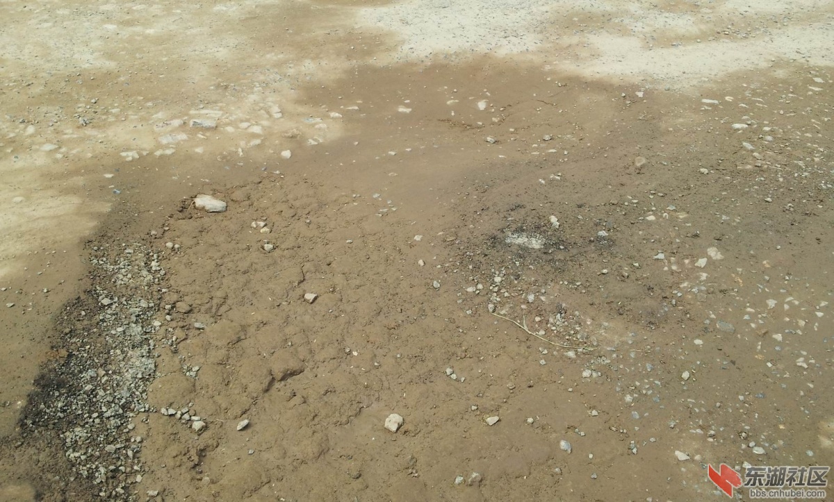 20140828_104245.jpg