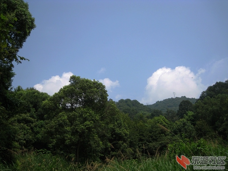 05.jpg