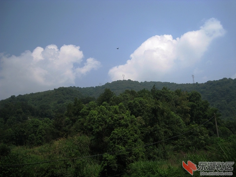 06.jpg