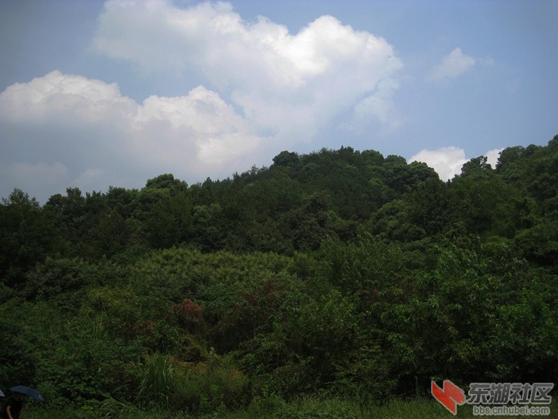08.jpg