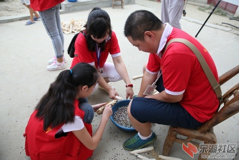 QQ图片20140828153532.jpg