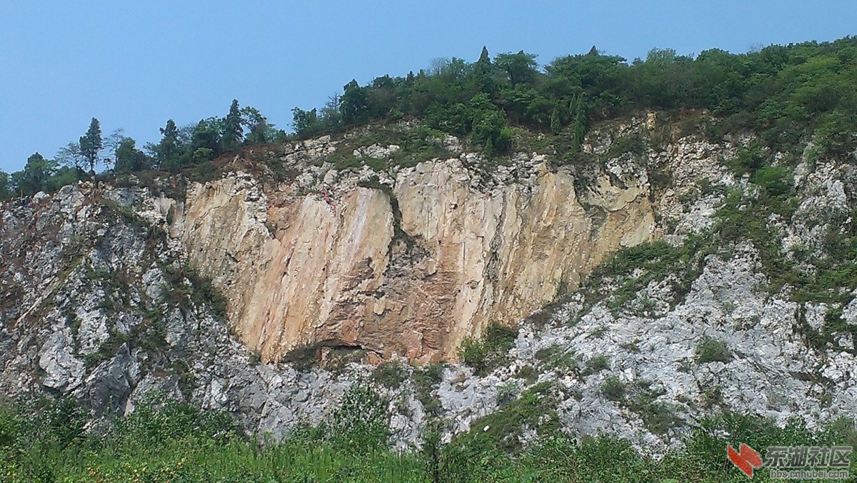 IMAG4693副本.jpg