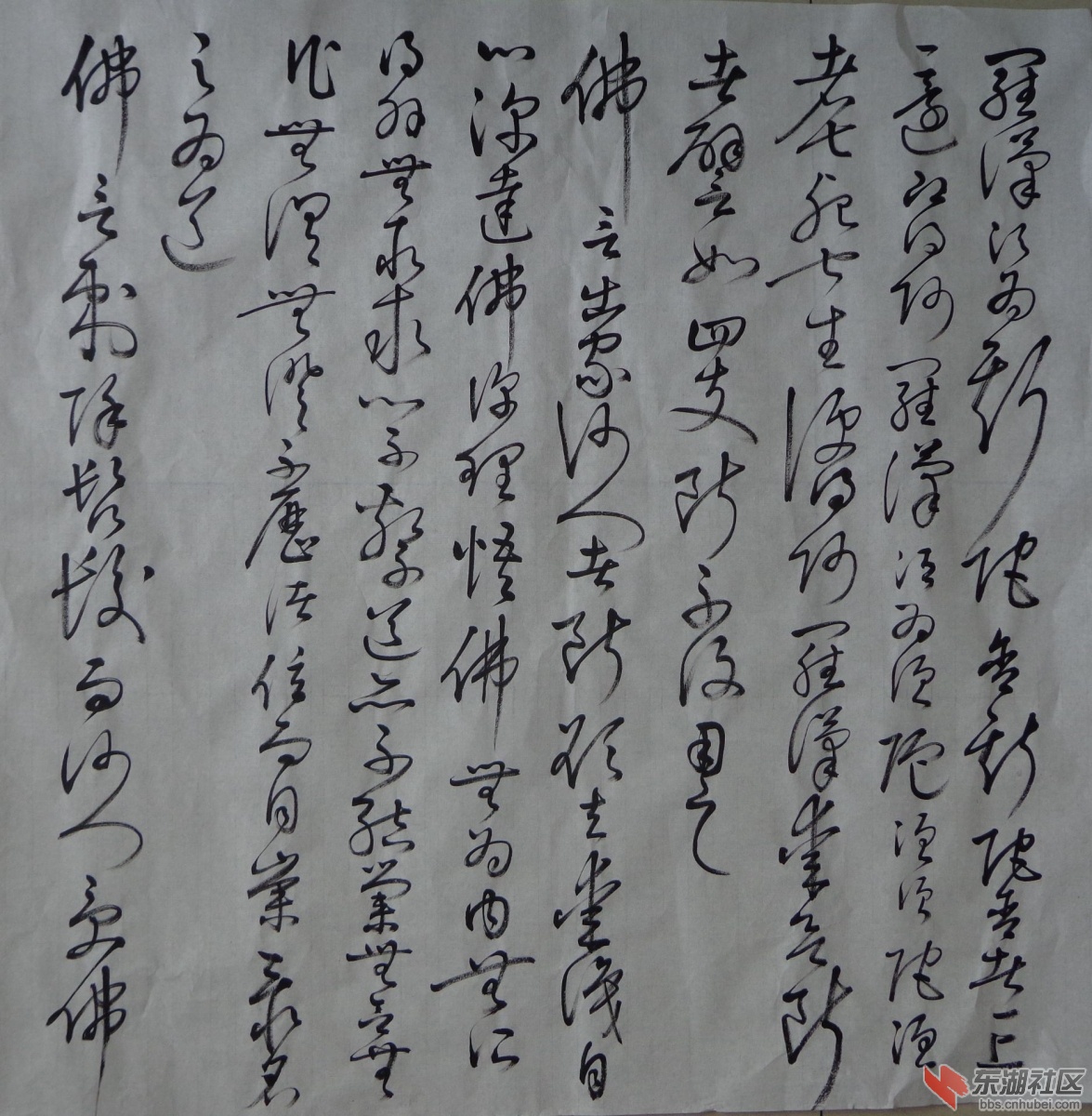 DSC02468_副本.jpg