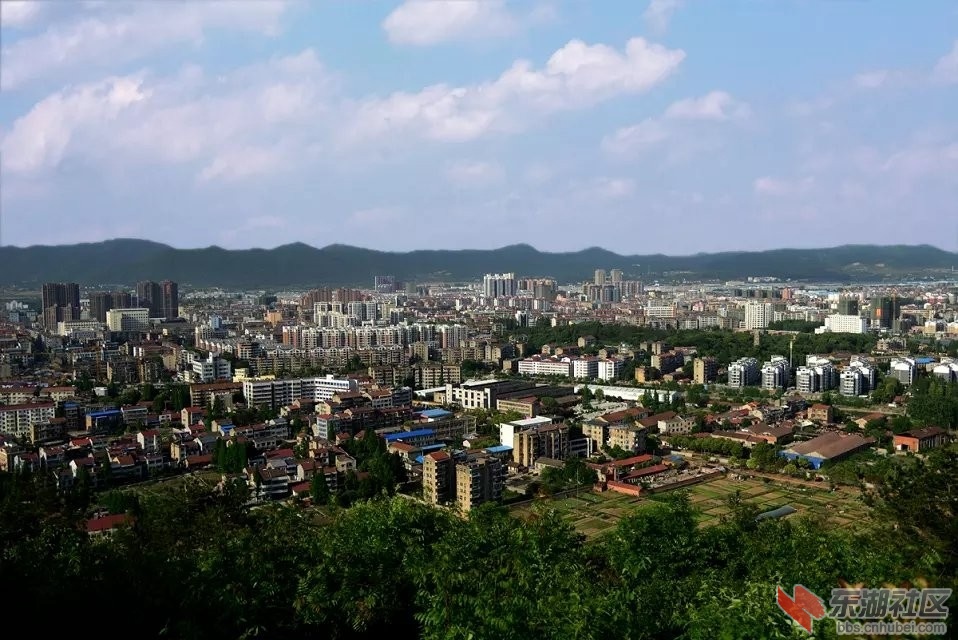 QQ图片20140828083705.jpg