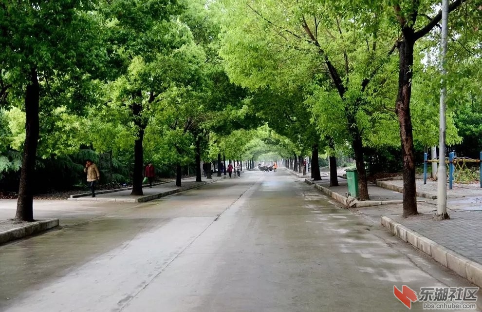QQ图片20140828083754.jpg