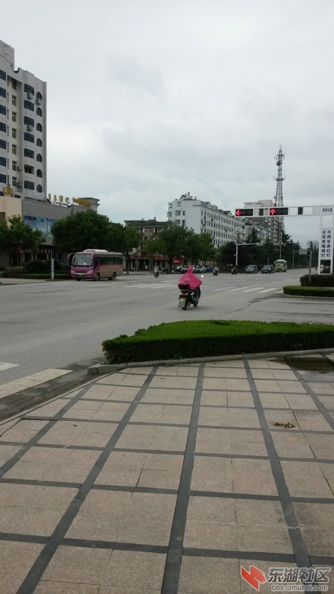 20140902_140307.jpg