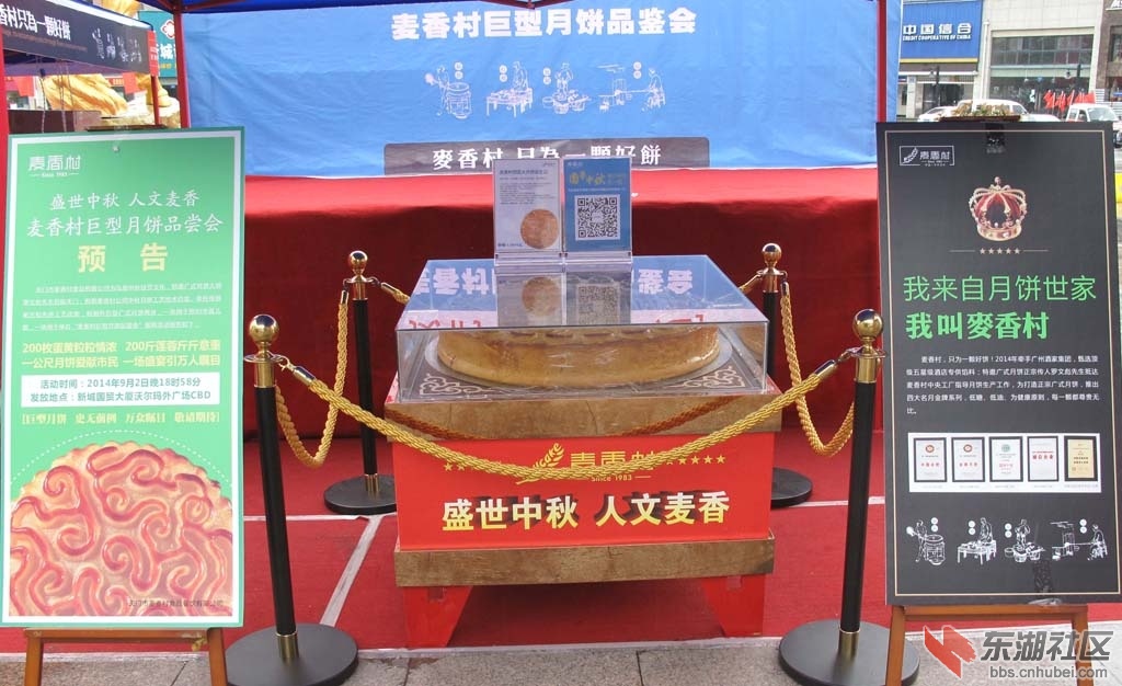 mxc01.jpg