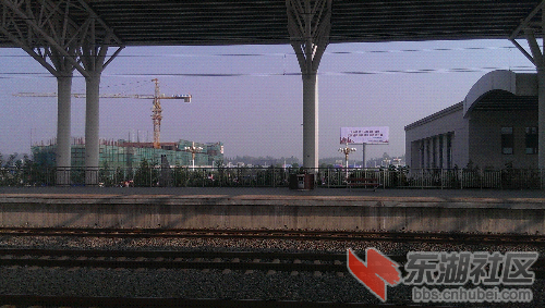 IMAG0242.jpg