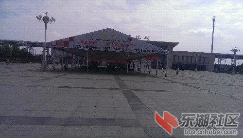 IMAG0233.jpg