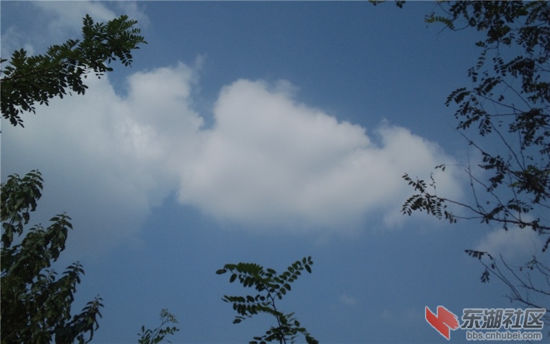 蓝蓝天空白云飘飘